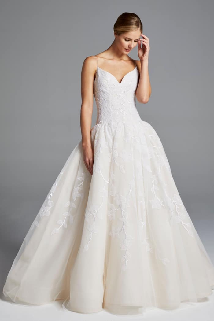 Anne Barge Wedding Dresses Spring 2019 - Dress for the Wedding