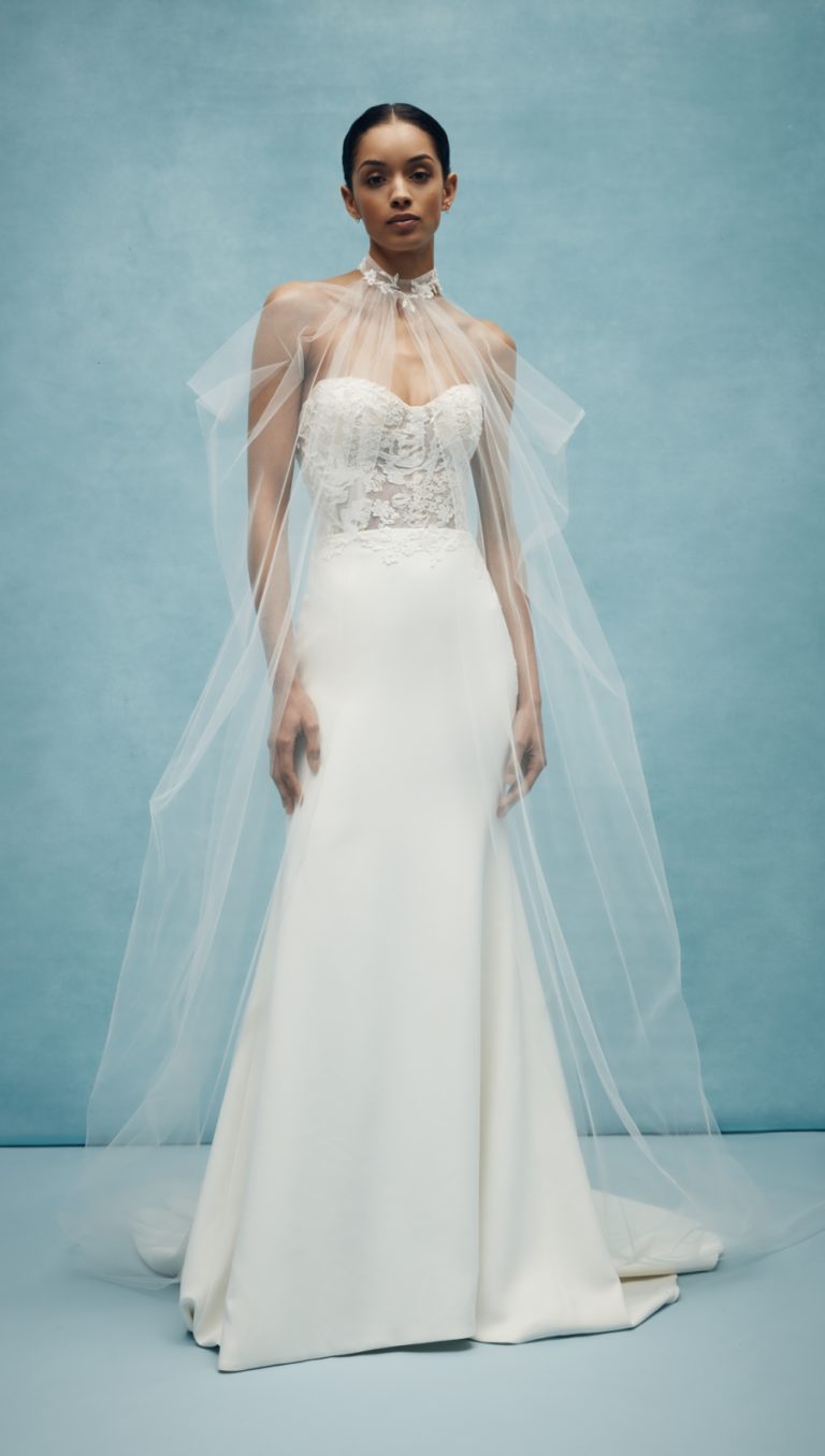 Anne Barge Wedding Dresses Spring 2020 - Dress for the Wedding